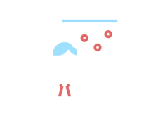 SEO-Company-in-Bangalore